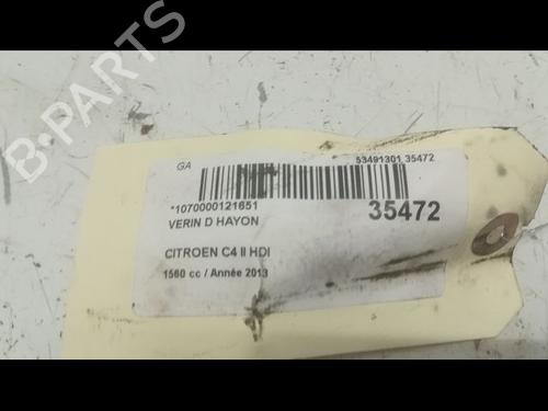 BP14879643C138 main image