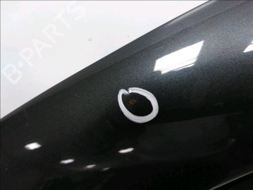 Left front door VW GOLF IV (1J1) 1.9 TDI | BP28831280C2 