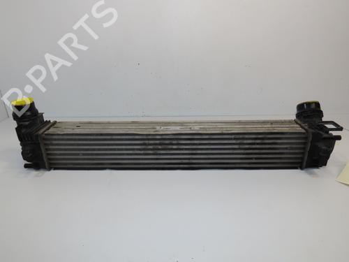 Other RENAULT MEGANE III Coupe (DZ0/1_) 1.6 dCi (DZ00, DZ12, DZ2A, DZ13) | BP28828741O1 