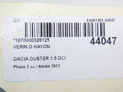 Tailgate lift support DACIA DUSTER (HS_) 1.5 dCi 4x4 | BP19123490C138 