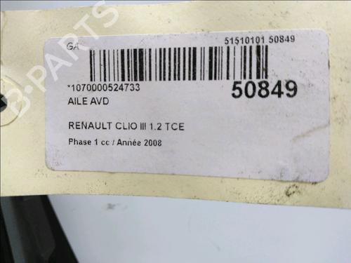 Used Right front fenders RENAULT CLIO III (BR0/1, CR0/1) 1.2 16V (BR0P, CR0P) (101 hp) 19170729