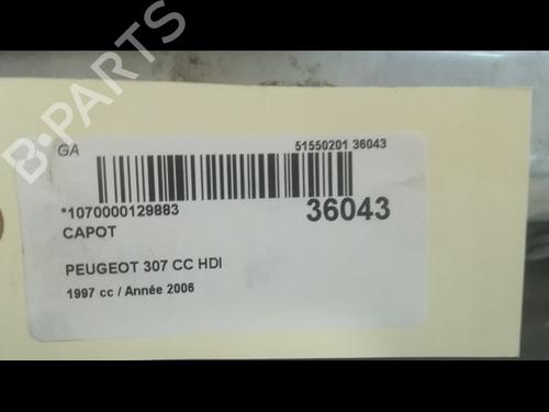 Used Hood PEUGEOT 307 CC (3B) 2.0 HDi 135 (136 hp) 9599023