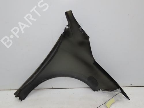 Left front fenders RENAULT MEGANE III Hatchback (BZ0/1_, B3_) 1.5 dCi (BZ09, BZ0D, BZ1W, BZ29, BZ14) | BP28830969C41