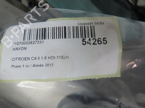 Tailgate CITROËN C4 II (NC_) 1.6 HDi 115 | BP28969226C6 