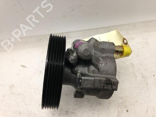 Steering pump RENAULT LAGUNA II (BG0/1_) | BP23173011M99