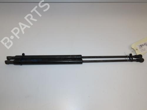 Tailgate lift support FIAT PANDA (169_) 1.2 (169.AXB11, 169.AXB1A) | BP28832315C138 