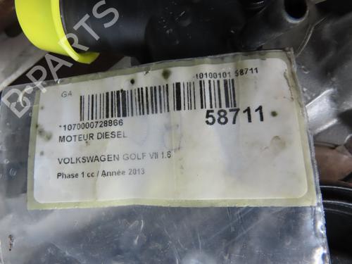 Used Engine Engine VW GOLF VII (5G1, BQ1, BE1, BE2) 1.6 TDI (110 hp) 36493229 36493229