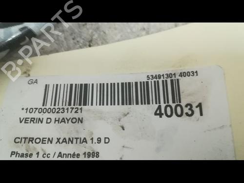 Tailgate lift support CITROËN XANTIA (X1_, X2_) 1.9 SD | BP14879909C138 