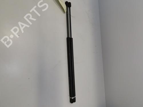 tailgate-lift-support-citroen-c4-grand-picasso-i-ua_-2006-2007-2008-2009-2010-2011-2012-2013-28969315 main image