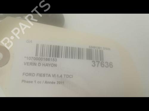 Used Tailgate lift support FORD FIESTA VI (CB1, CCN) 1.4 TDCi (70 hp) 14879759