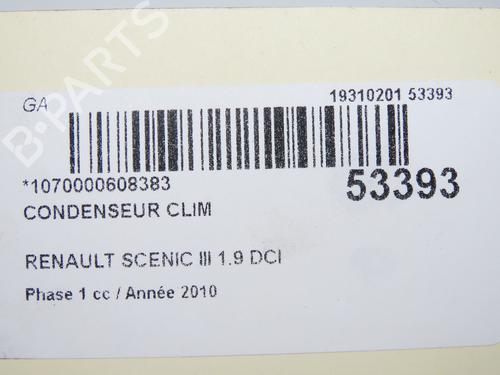 Heater matrix RENAULT SCÉNIC III (JZ0/1_) 1.9 dCi (JZ0J, JZ1J, JZ1K, JZ1S) | BP29601093M63