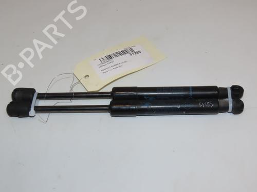 Used Hood lift support RENAULT SCÉNIC III (JZ0/1_) 1.9 dCi (JZ0J, JZ1J, JZ1K, JZ1S) (131 hp) 28968398