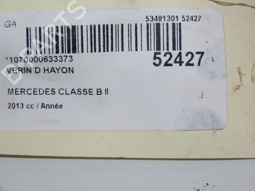 Tailgate lift support MERCEDES-BENZ B-CLASS Sports Tourer (W246, W242) B 220 CDI / d (246.203) | BP28802199C138 