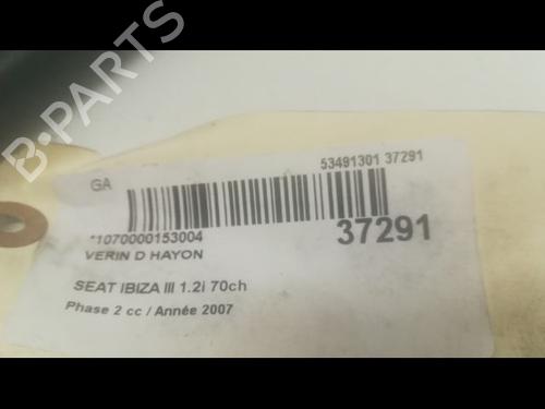 Tailgate lift support SEAT IBIZA III (6L1) 1.2 12V | BP14879735C138 