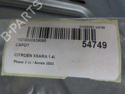 Used Hood CITROËN XSARA (N1) 1.4 i (75 hp) 28801881