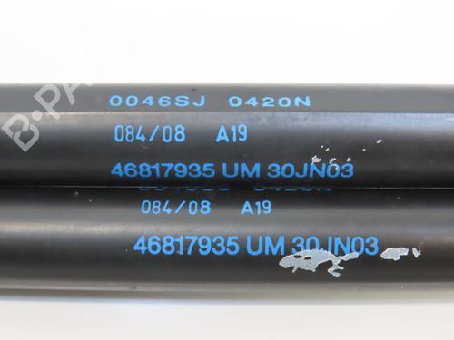 Gassdemper Bakluke LANCIA YPSILON (843_) 1.4 (843.AXG1A) | BP28969283C138 