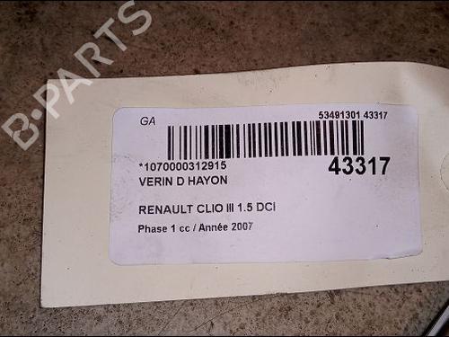 Tailgate lift support RENAULT CLIO III (BR0/1, CR0/1) 1.5 dCi (BR17, CR17) | BP14880081C138 
