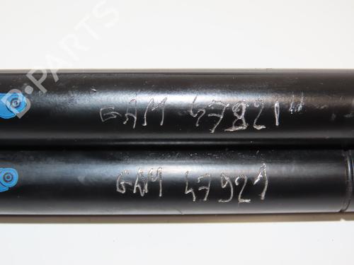 Tailgate lift support RENAULT SCÉNIC II (JM0/1_) 1.5 dCi (JM1E, JM16) | BP19747734C138 