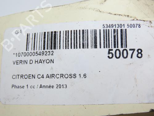 Used Tailgate lift support CITROËN C4 AIRCROSS 1.6 HDi 115 (114 hp) 29318805