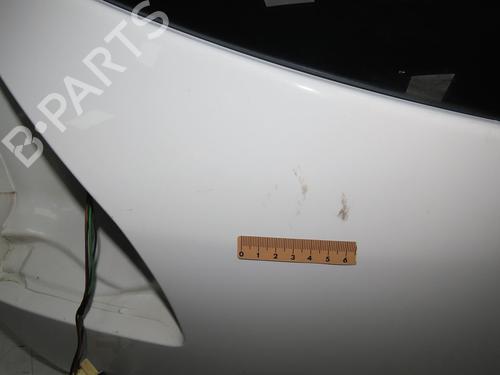 Tailgate RENAULT MEGANE III Hatchback (BZ0/1_, B3_) 1.5 dCi (BZ1G, BZ1W, BZ0R) | BP28832199C6 