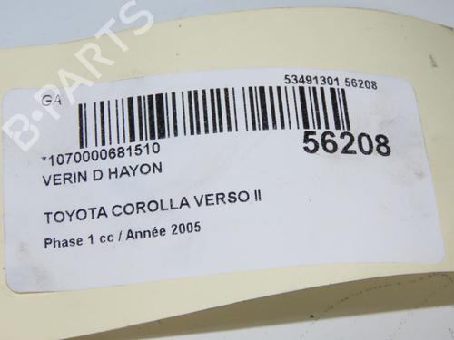 Heckklappendämpfer für TOYOTA COROLLA Verso (ZER_, ZZE12_, R1_) 2.0 D-4D (CUR10_, CUR10R) (116 hp) 31274444