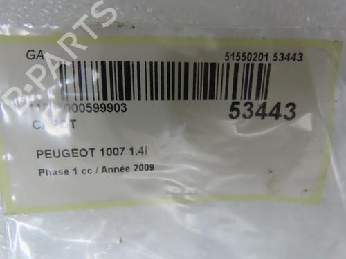 Used Hood Hood PEUGEOT 1007 (KM_) 1.4 (75 hp) 33681035 33681035