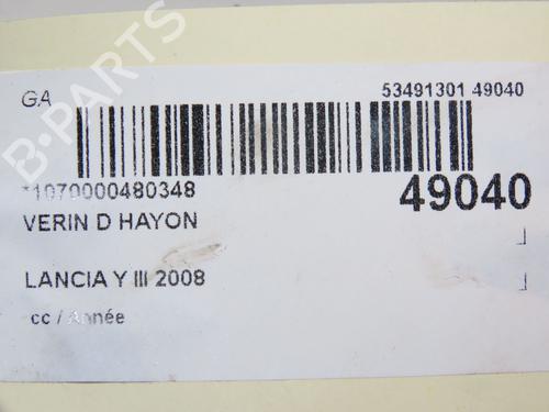 Gassdemper Bakluke LANCIA YPSILON (843_) 1.4 (843.AXG1A) | BP28969283C138 