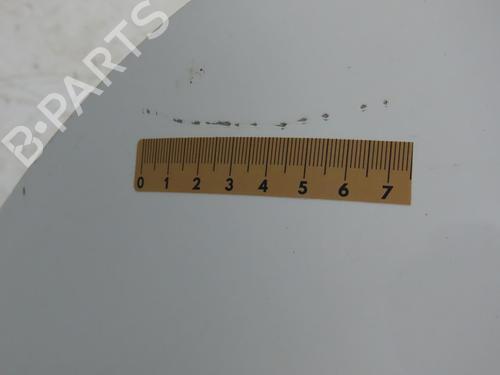 Right front door RENAULT CLIO III (BR0/1, CR0/1) 1.5 dCi (C/BR0G, C/BR1G) | BP29150981C3 
