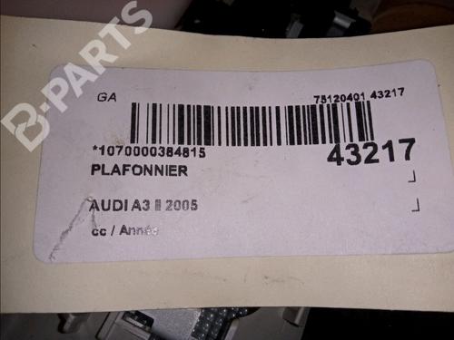 Interior roof light AUDI A3 (8P1) 2.0 TDI 16V | BP11533205I8 