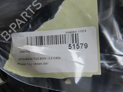 Tailgate HYUNDAI TUCSON (JM) 2.0 CRDi All-wheel Drive | BP28832151C6 