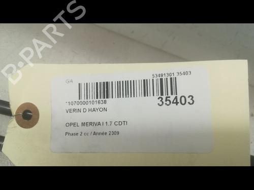 Used Tailgate lift support OPEL MERIVA A MPV (X03) 1.7 CDTI (E75) (100 hp) 14879641