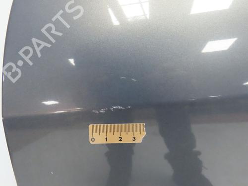 Left front door RENAULT SCÉNIC II (JM0/1_) 2.0 dCi (JM1K) | BP28831314C2 