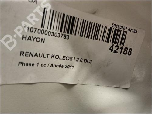 Tailgate RENAULT KOLEOS I (HY_) 2.0 dCi 4x4 (HY0K) | BP9618281C6 