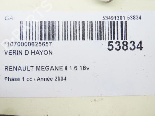 Used Tailgate lift support RENAULT MEGANE II (BM0/1_, CM0/1_) 1.6 16V (BM0C, CM0C) (113 hp) 28832301