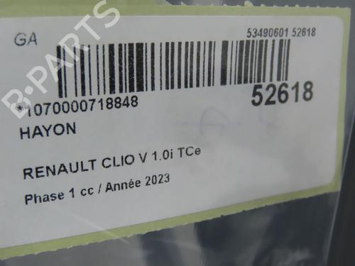 Tailgate RENAULT CLIO V (B7_) 1.0 TCe 90 (B7MT) | BP39893970C6 - Image 3