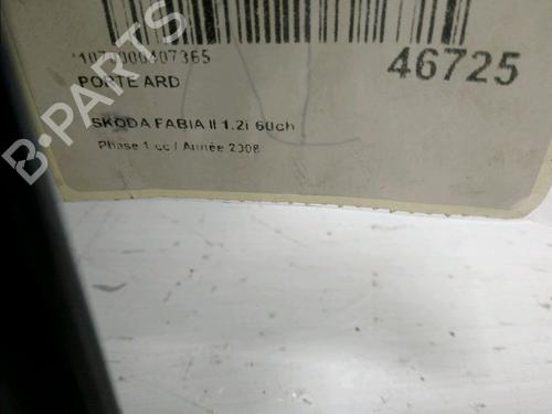 Right rear door SKODA FABIA II (542) 1.2 | BP16648205C5 