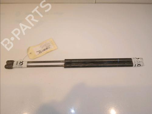 Used Tailgate lift support RENAULT SCÉNIC II (JM0/1_) 1.9 dCi (JM14) (131 hp) 14880218