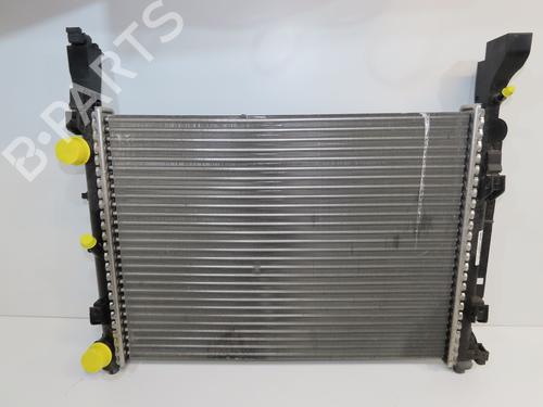 water-radiator-renault-kangoo-express-fw01_-2008-36493485 main image