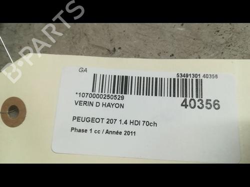 Used Tailgate lift support PEUGEOT 207 (WA_, WC_) 1.4 HDi (68 hp) 14879937