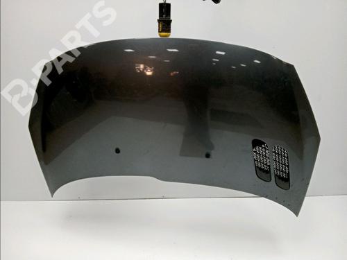 Used Hood PEUGEOT 206+ (2L_, 2M_) 1.1 (60 hp) 11832901