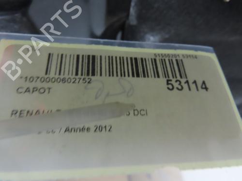 Hood RENAULT MEGANE III Hatchback (BZ0/1_, B3_) 1.5 dCi (BZ09, BZ0D, BZ1W, BZ29, BZ14) | BP28831033C1 