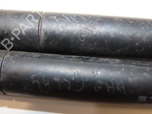 Gassdemper Bakluke TOYOTA PRIUS Liftback (_W2_) 1.5 Hybrid (NHW2_) | BP28832307C138 
