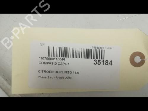Used Hinge/Door check strap Hinge/Door check strap CITROËN BERLINGO / BERLINGO FIRST Box Body/MPV (M_) 1.6 HDI 75 (MB9HW) (75 hp) 14878919 14878919