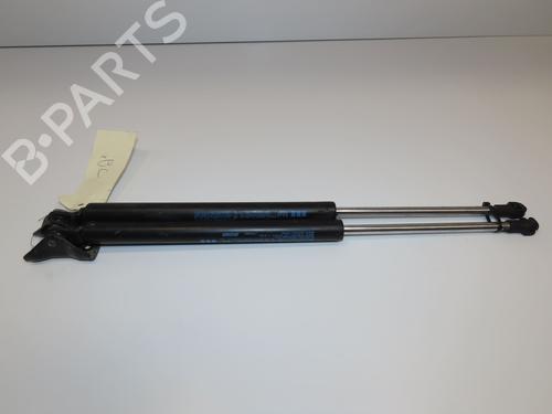 Tailgate lift support CITROËN C4 AIRCROSS 1.6 HDi 115 | BP29318805C138 