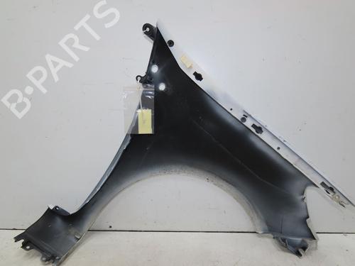 Left front fenders RENAULT CLIO III (BR0/1, CR0/1) 1.5 dCi | BP28968349C41 