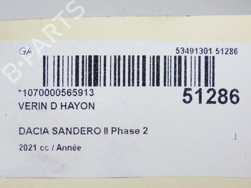 Tailgate lift support DACIA SANDERO III 1.0 TCe 90 | BP20340124C138  - Image 8