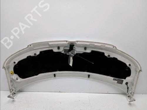 Hood VW TRANSPORTER T5 Van (7HA, 7HH, 7EA, 7EH) 1.9 TDI | BP17134412C1 