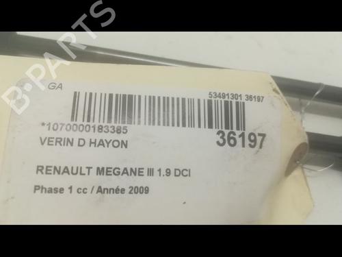 Used Tailgate lift support RENAULT MEGANE III Hatchback (BZ0/1_, B3_) 1.9 dCi (BZ0N, BZ0J) (131 hp) 14879668