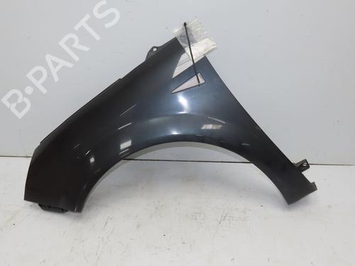 Left front fenders RENAULT SCÉNIC II (JM0/1_) 1.9 dCi (JM14) | BP28830963C41 