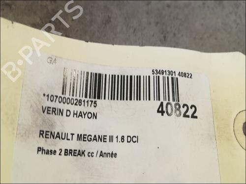 Used Tailgate lift support RENAULT MEGANE III Grandtour (KZ0/1) 1.6 dCi (KZ00, KZ12, KZ13) (130 hp) 14879967